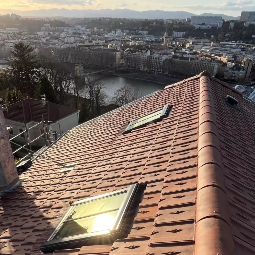 Création de Velux à Lyon (1)