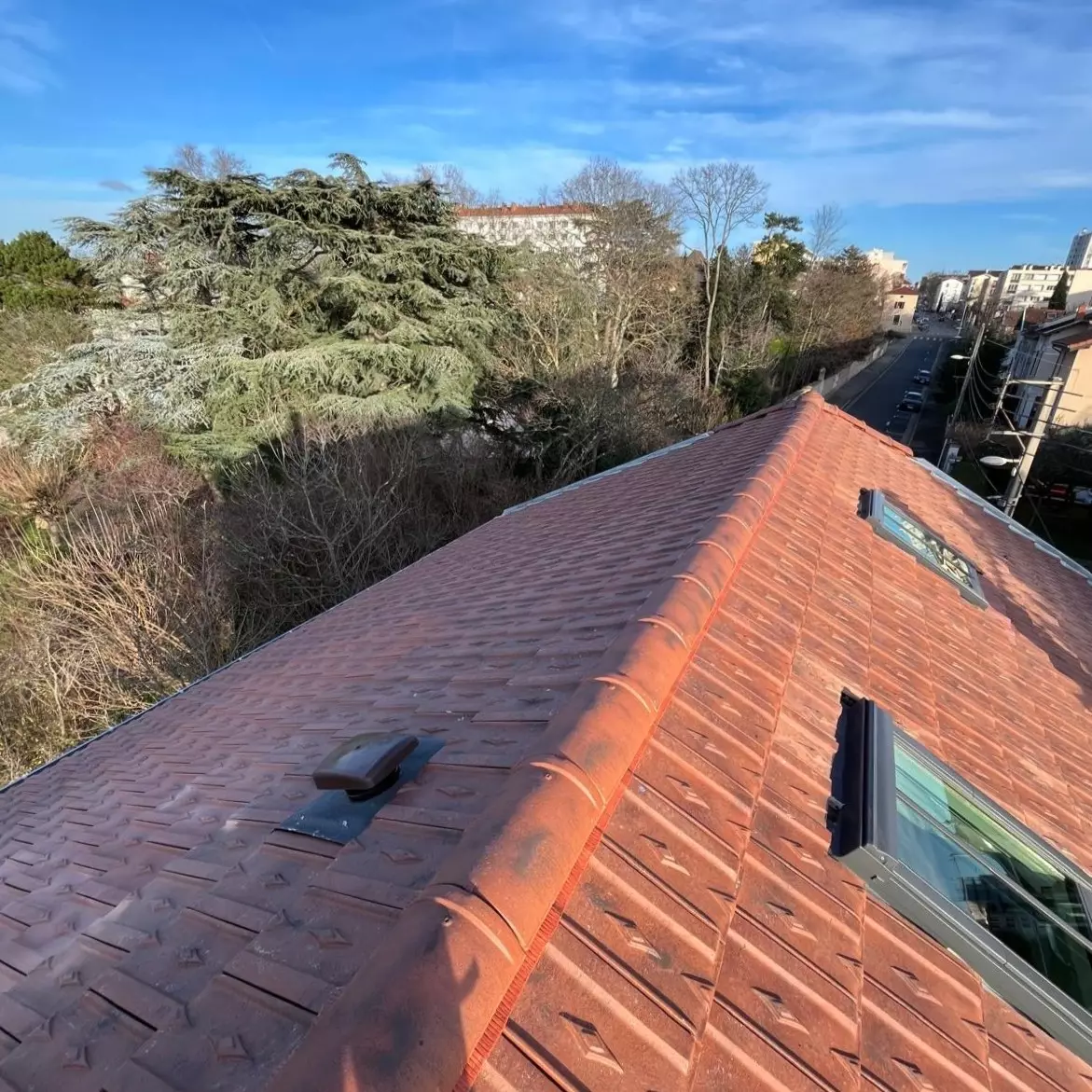 Création de Velux à Lyon (2)