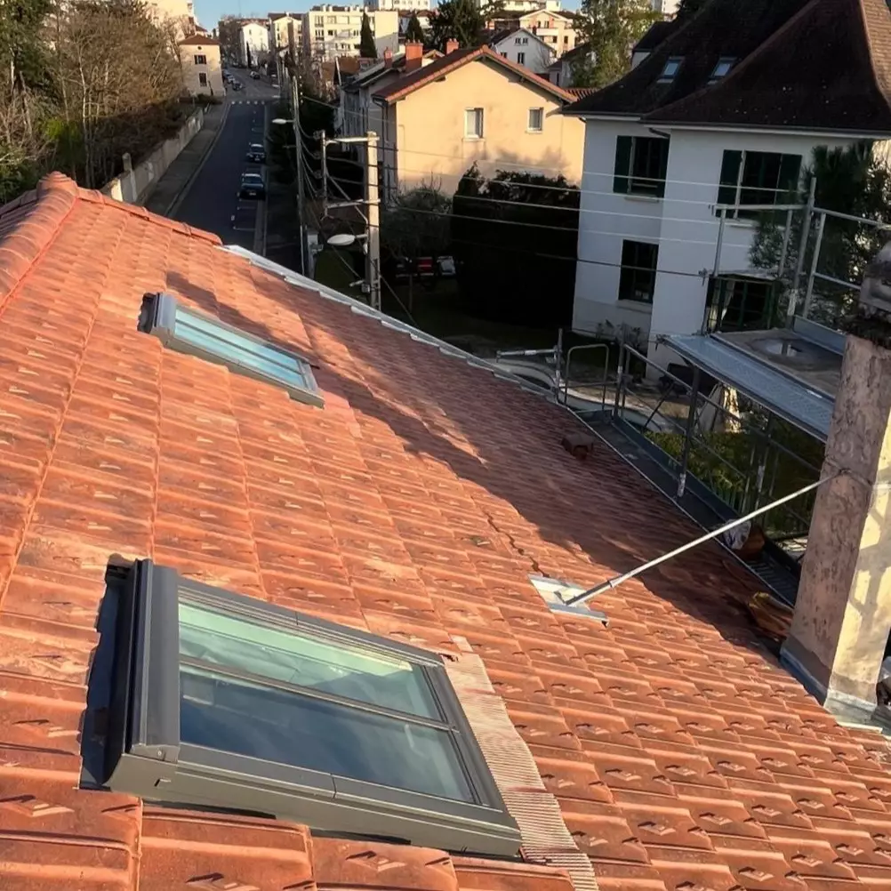 Création de Velux à Lyon (3)