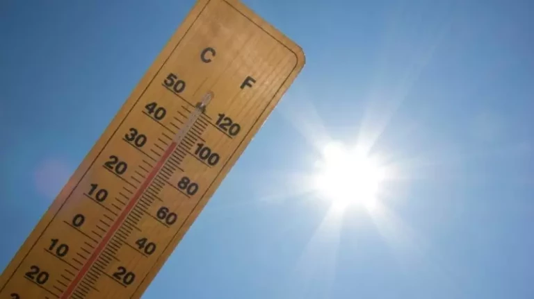 canicule