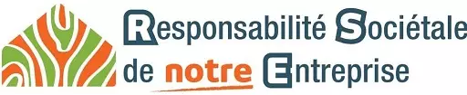rse-cef-e1782304644405-1024x210