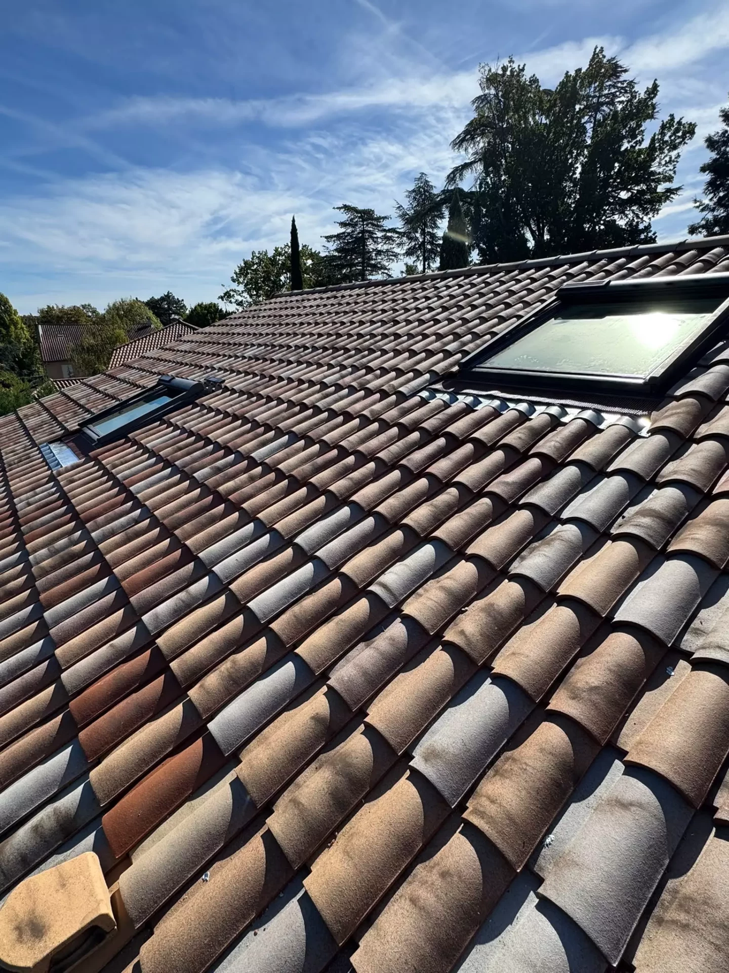 Remplacement-de-Velux-a-Charbonnieres